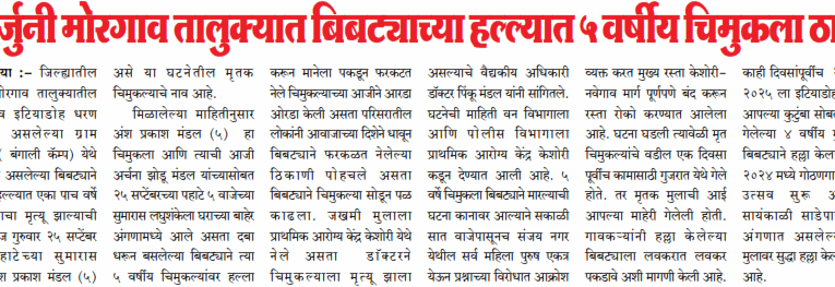 अजर्ुनी मोरगाव तालुक्यात बिबट्याच्या हल्ल्यात ५ वर्षीय चिमुकला ठार