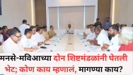 मनसे-मविआच्या दोन शिष्टमंडळांनी घेतली भेट; एक शिष्टमंडळ चोकलिंगम यांच्या भेटीला तर दुसरं दिनेश वाघमारेंच्या भेटीला, कोण काय म्हणालं, मागण्या काय?
