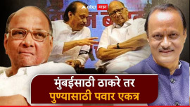 ठाकरेंनंतर पवारांच्याही युतीची तारीख ठरली; अजित पवार २६ तारखेला घोषणा करणार !