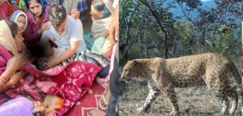 गोंदिया जिल्ह्यातील तिरोडा तालुक्यात बिबट्याच्या हल्ल्यात 4 वर्षीय चिमुकल्याचा मृत्यू