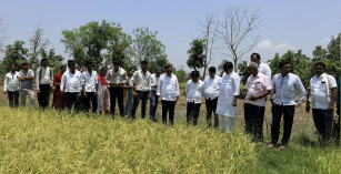 मतदारसंघात धान, मका आणि भाजीपाला पिकांचे मोठे नुकसान चिरडली गोरेगाव-तिरोडा अवकाळीच्या तडाख्याने शेतकऱ्यांची स्वप्ने