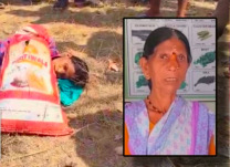 तेंदूपत्त्याच्या रानात मृत्यूचा सापळा; वाघाच्या हल्ल्यात वृद्ध महिलेचा दुर्दैवी अंत