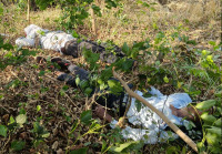 अभियांत्रिकी महाविद्यालयाच्या दोन विद्यार्थ्यांचा अपघातात मृत्यू